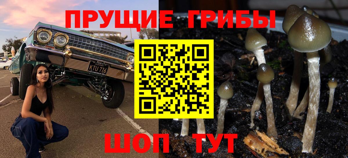 Саранск  Галлюциногенные грибы MAGIC MUSHROOMS  Вход с VPN 