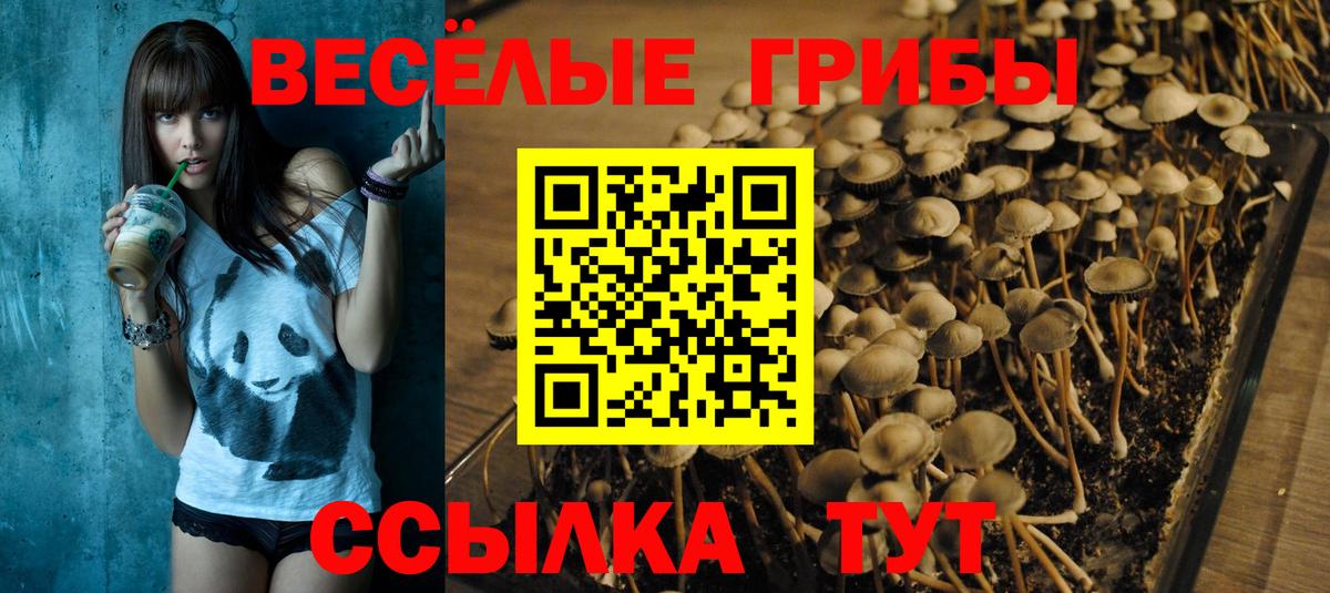 Галлюциногенные грибы ЛСД Саранск